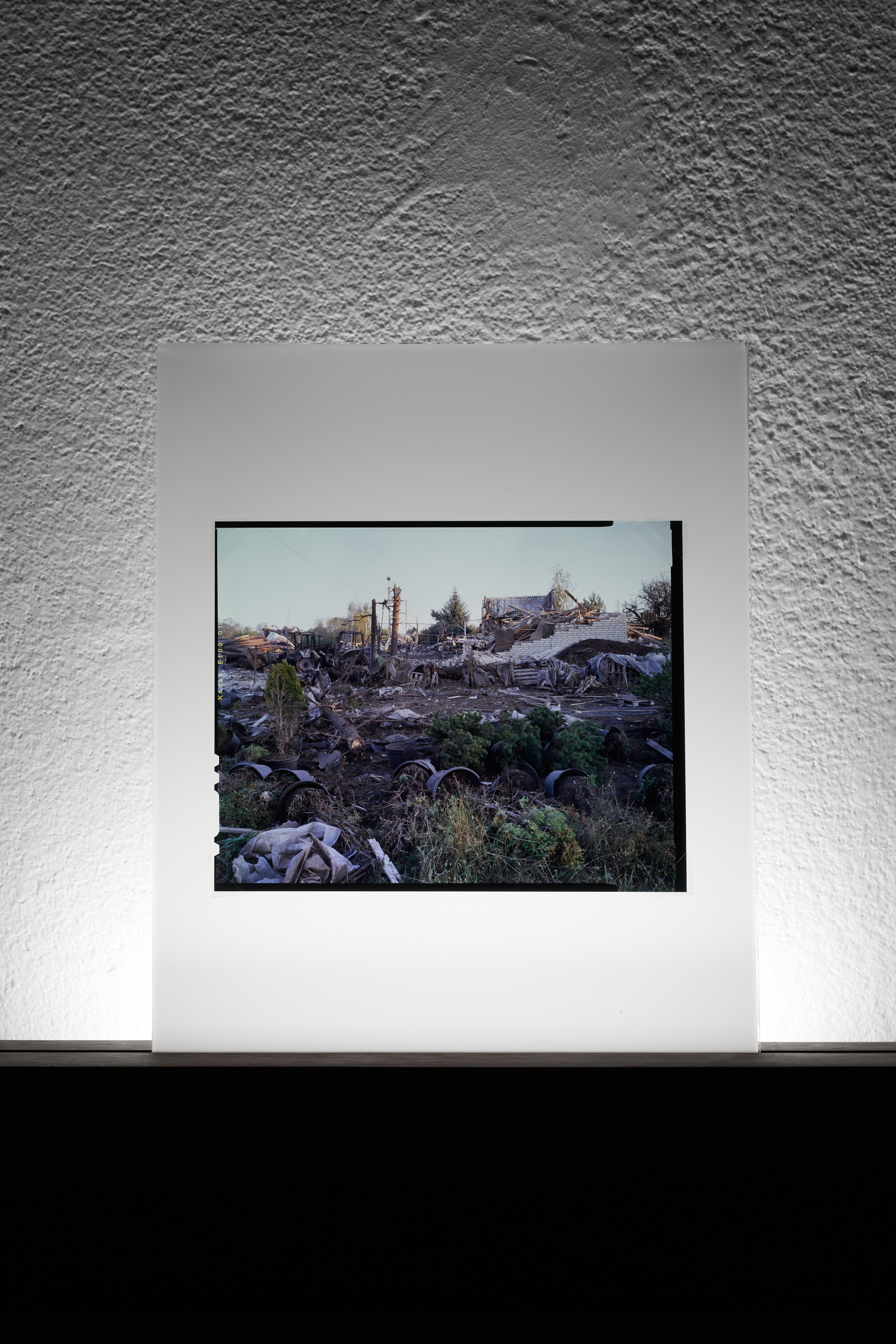 a slide from series A Place of Flowers