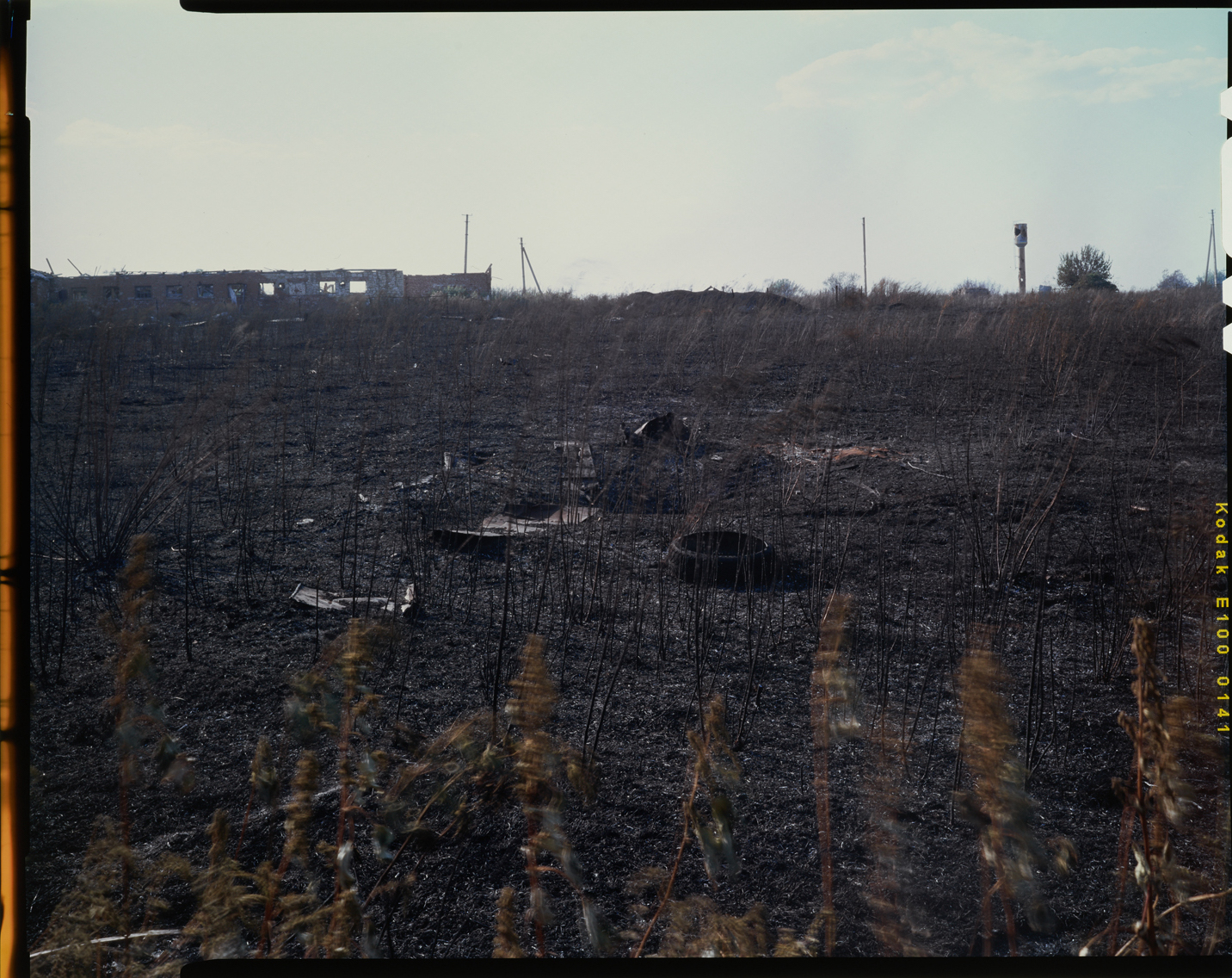 a slide from series A Place of Flowers