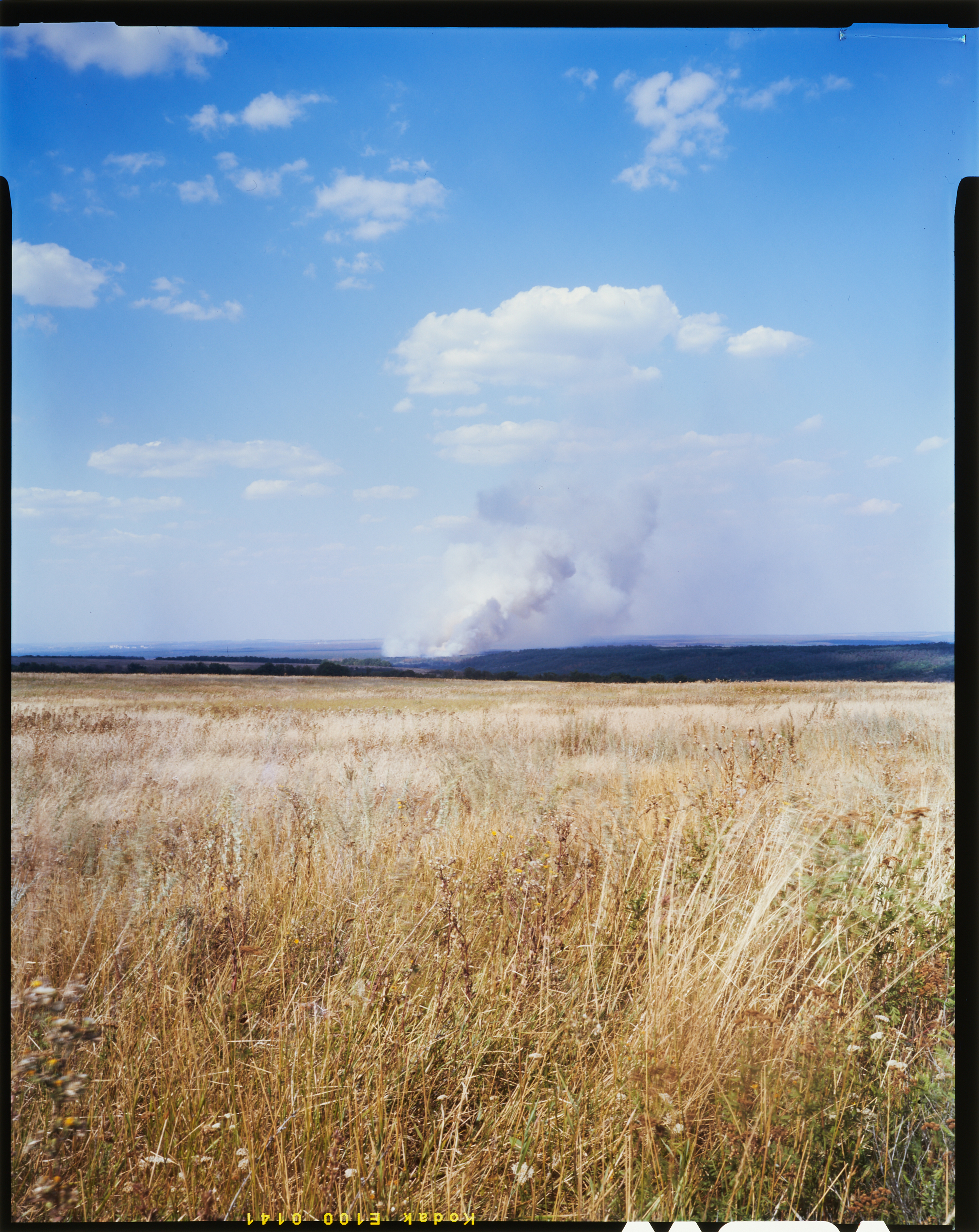 a slide from series A Place of Flowers