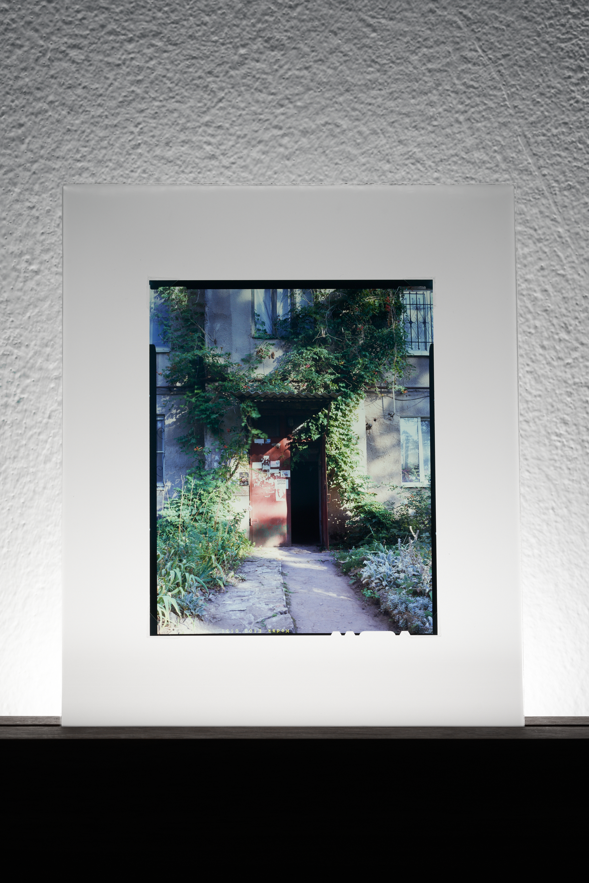 a slide from series A Place of Flowers