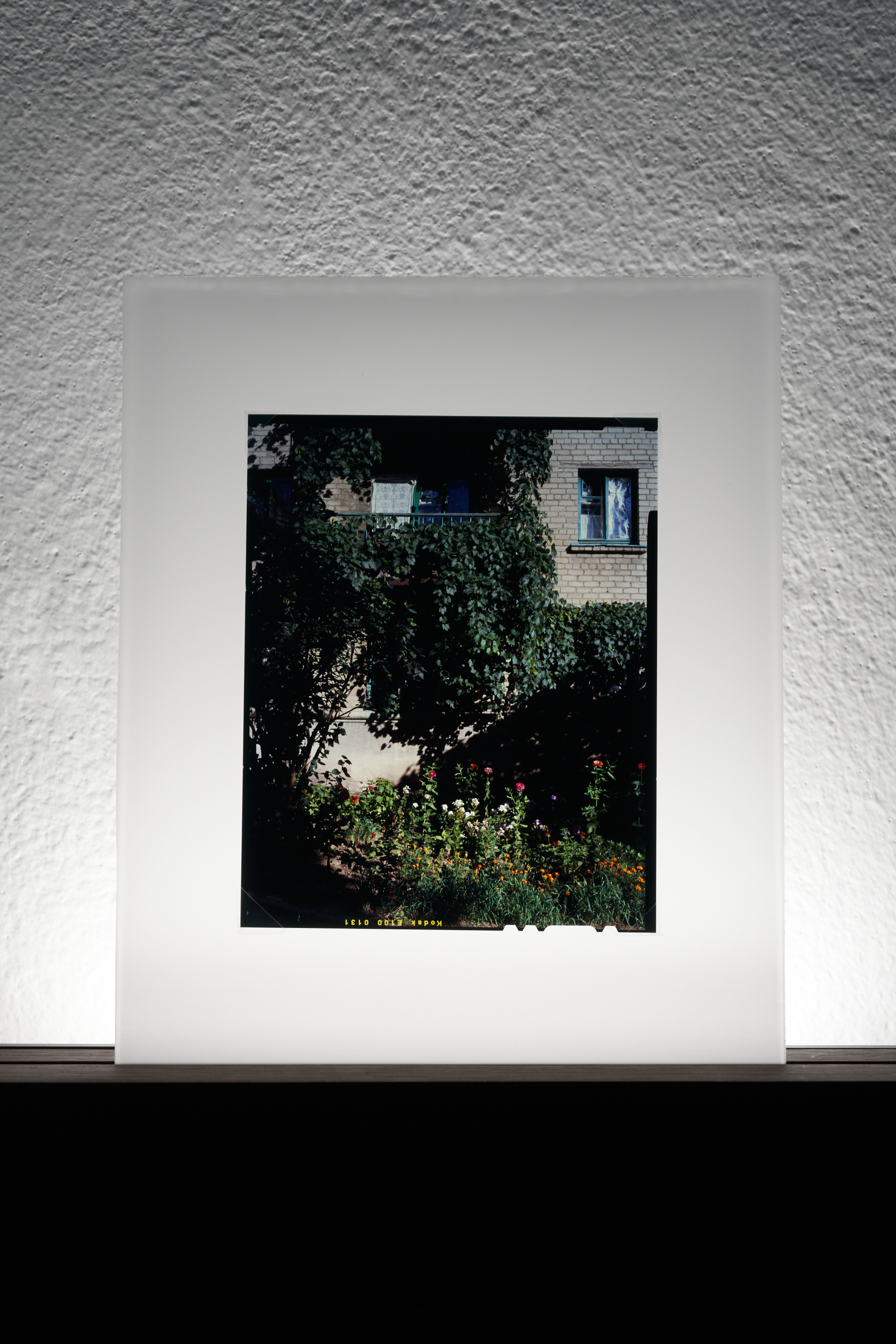 a slide from series A Place of Flowers